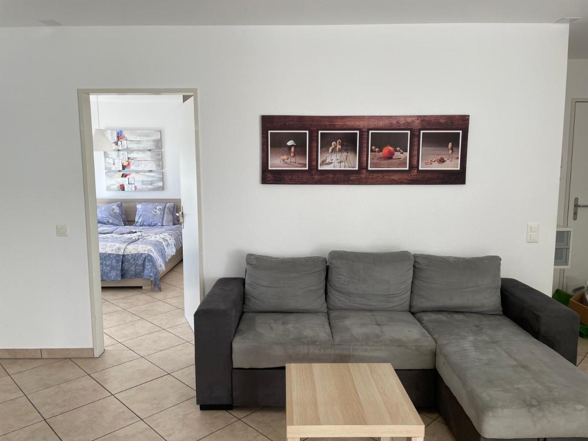 Appartamento 2,5 Con Piscina Nel Cuore Di Locarno 463 Luaran gambar